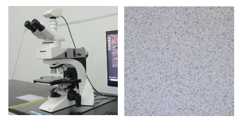 Leica Metallographic Microscope